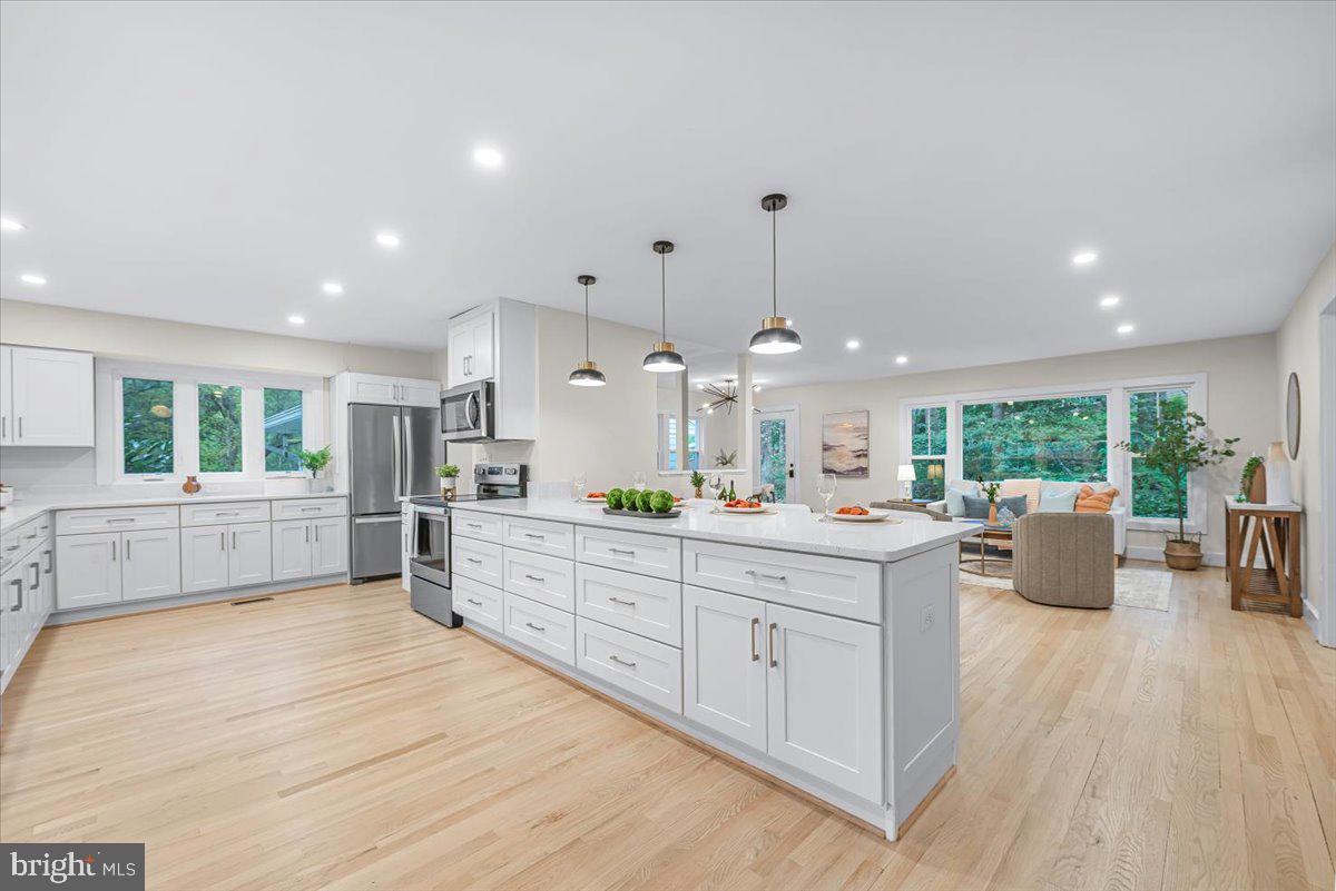 Silver Spring MD Staging Project